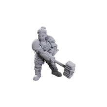 D&D Nolzur's Marvelous Miniatures: Limited Edition 50th Anniversary — Dwarves