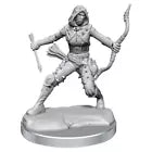 D&D FRAMEWORKS - HUMAN ROGUE FEMALE