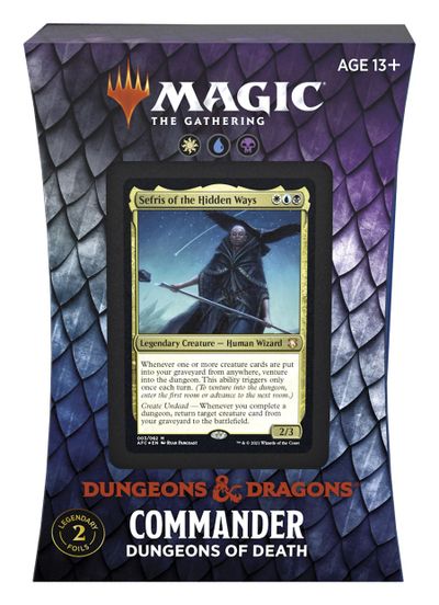 COMMANDER: ADVENTURES IN THE FORGOTTEN REALMS – Mushyhead Comics
