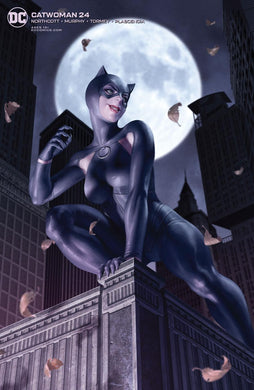 CATWOMAN #24 CVR B (08/18/2020)