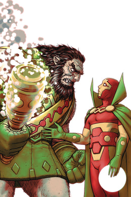 MISTER MIRACLE #9 (OF 12) (MR)