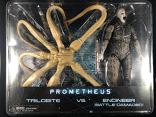 PROMETHEUS - TRILOBITE VS ENGINEER (BATTLE DAMAGED)