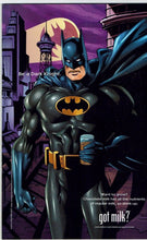 Batman Chronicles #21